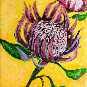 Protea