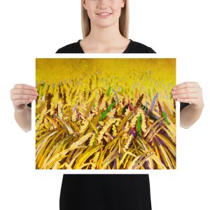 Crop – Matte Giclée print