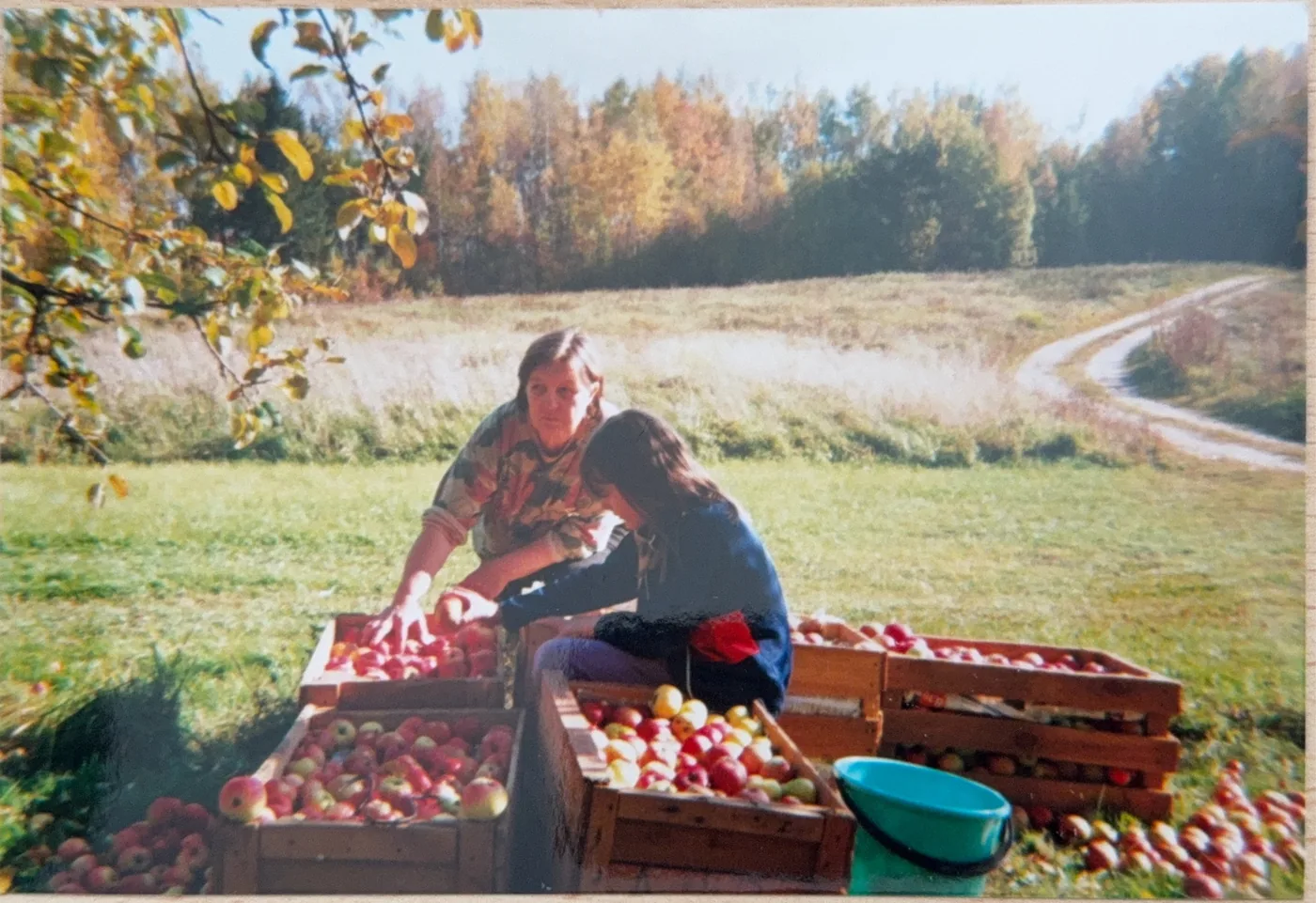 Keili bambina con la nonna nelle foreste dell'Estonia, autunno