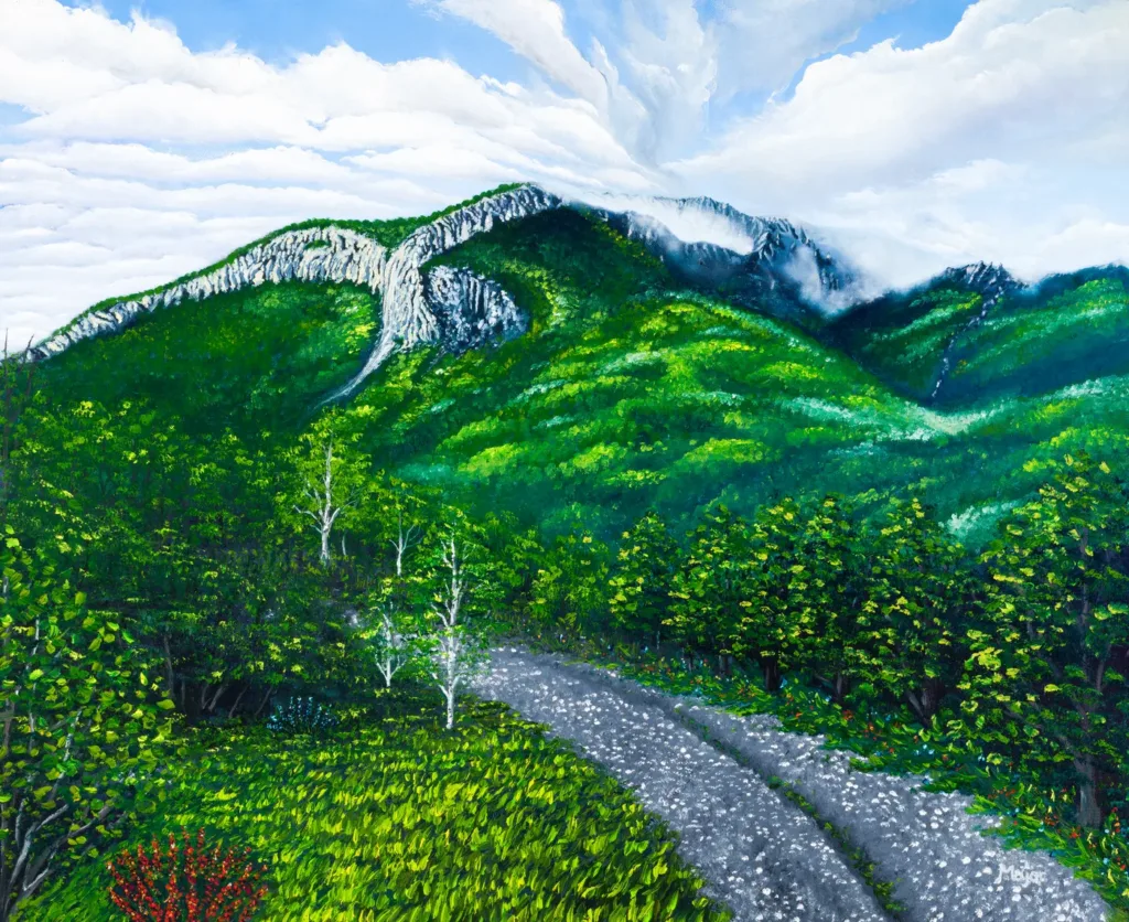Paesaggio montano col sentiero 