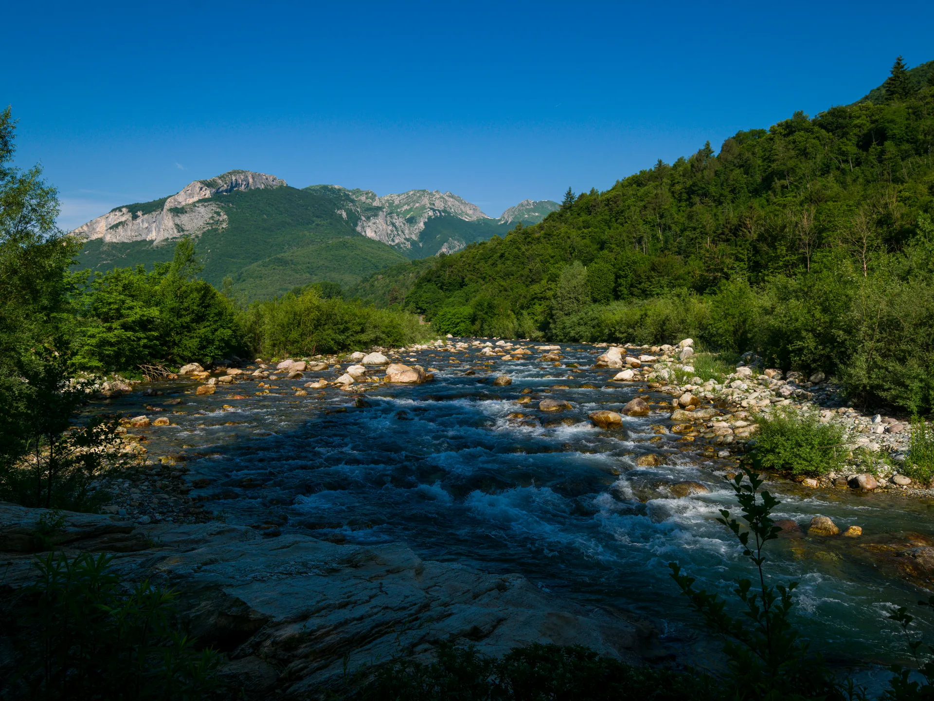 Frame di riferimento canonico &middot; 1 giugno 2026 &middot; Fiume Tanaro, Regione Sparvaira