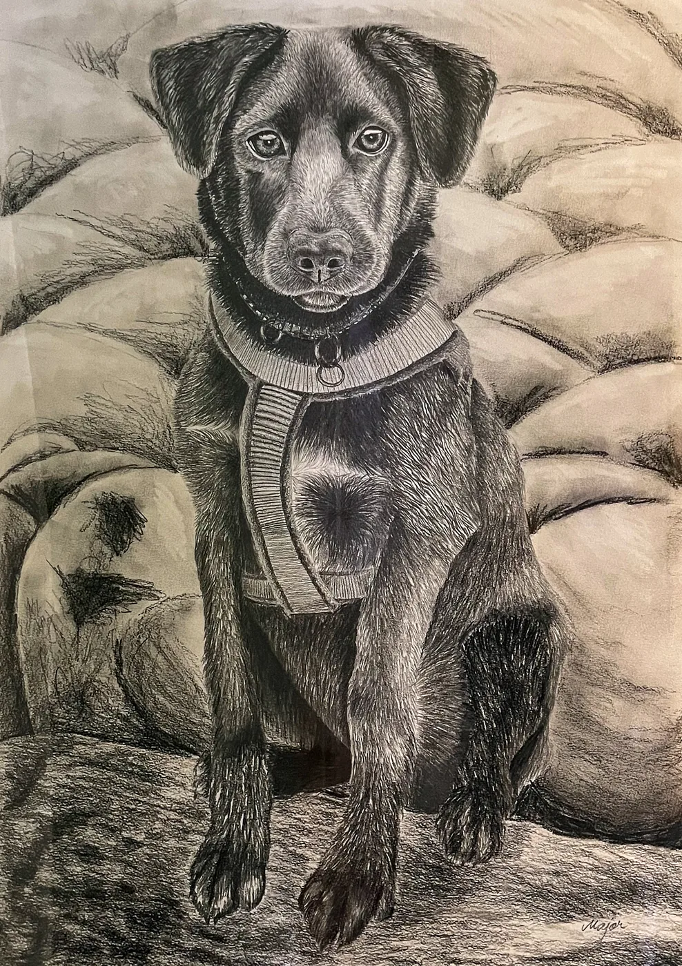 Lago &mdash; Keili Major, drawing